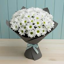 Букет цветов из:  Хризантемы #REPLACE_PRED# Анджиевский