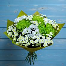 Букет цветов из:  Хризантемы #REPLACE_PRED# Анджиевский