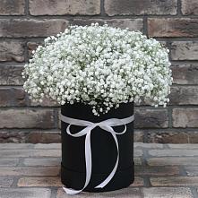 Композиция коробка гипсофил #REPLACE_PRED# Анджиевский Цветочная композиция из Гипсофила в шляпной коробке #REPLACE_PRED# Анджиевский