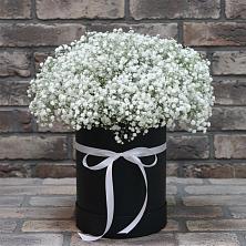 Цветочная композиция из Гипсофила в шляпной коробке в Анджиевский