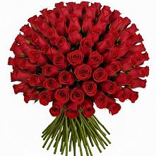 Букет Красные розы Чери Лав #REPLACE_PRED# Анджиевский