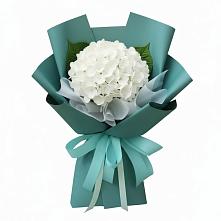 Букет цветов из:  Гортензия #REPLACE_PRED# Анджиевский